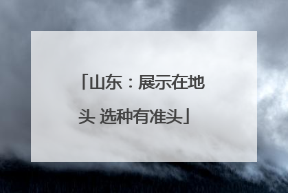 山东：展示在地头 选种有准头